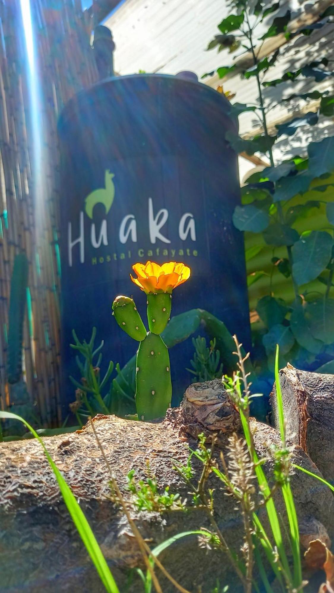 Huaka Hostel And Guest House Кафаяте Екстериор снимка